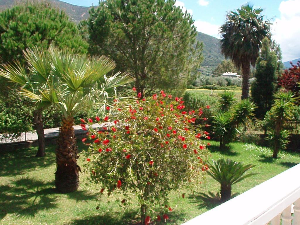 Finikes Studios Kefalonia Sami (Kefalonia) Exterior photo