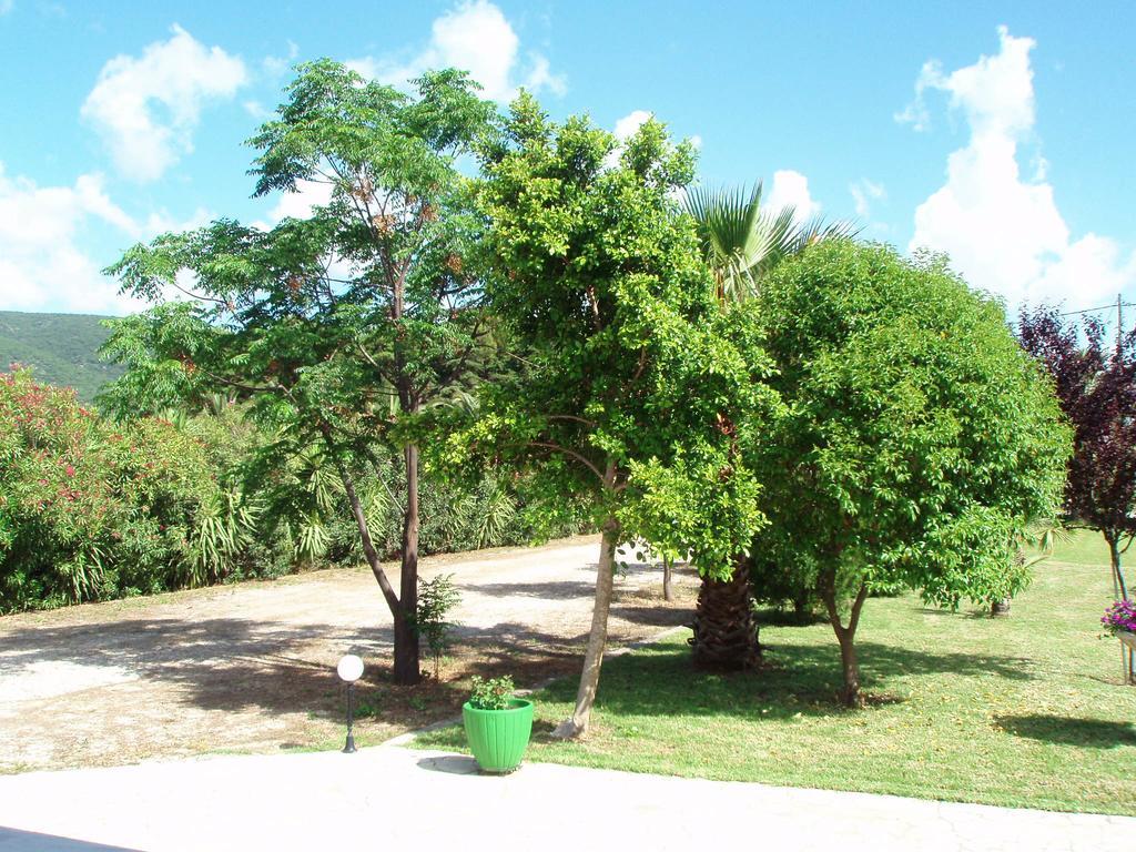 Finikes Studios Kefalonia Sami (Kefalonia) Exterior photo