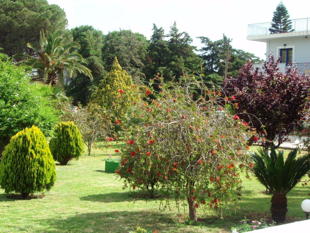 Finikes Studios Kefalonia Sami (Kefalonia) Exterior photo