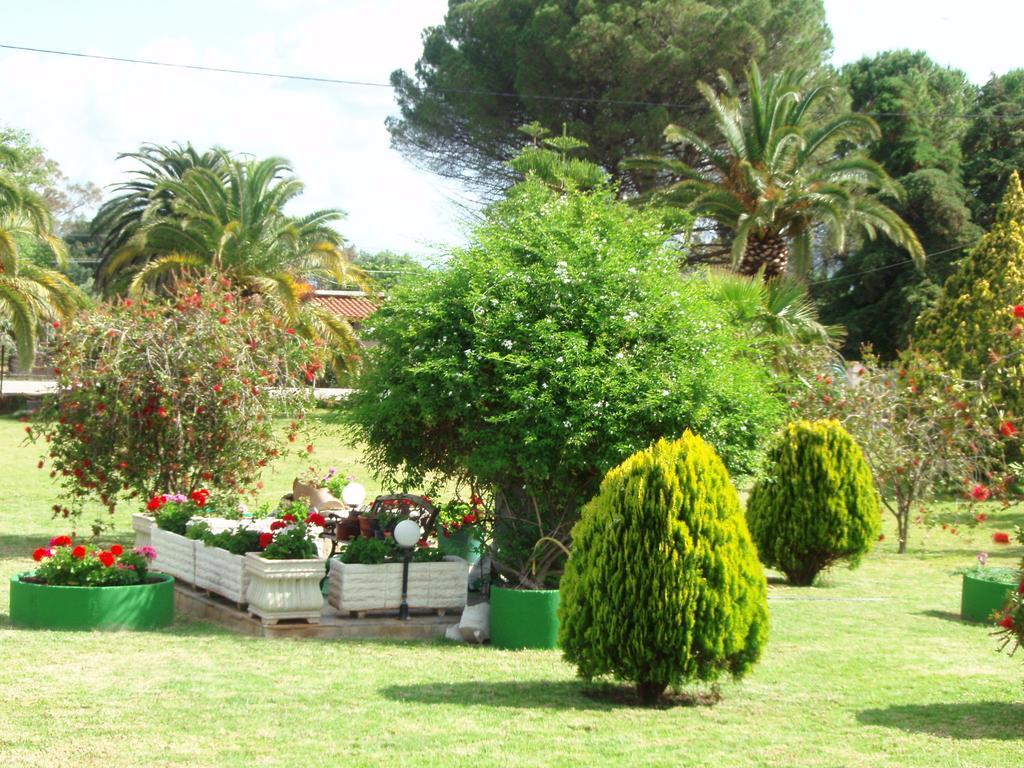Finikes Studios Kefalonia Sami (Kefalonia) Exterior photo