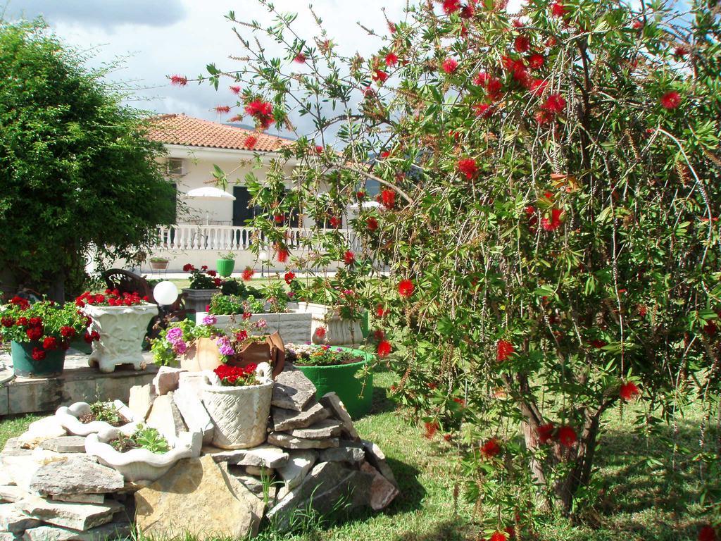 Finikes Studios Kefalonia Sami (Kefalonia) Exterior photo