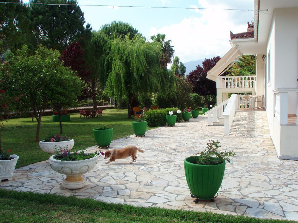 Finikes Studios Kefalonia Sami (Kefalonia) Exterior photo
