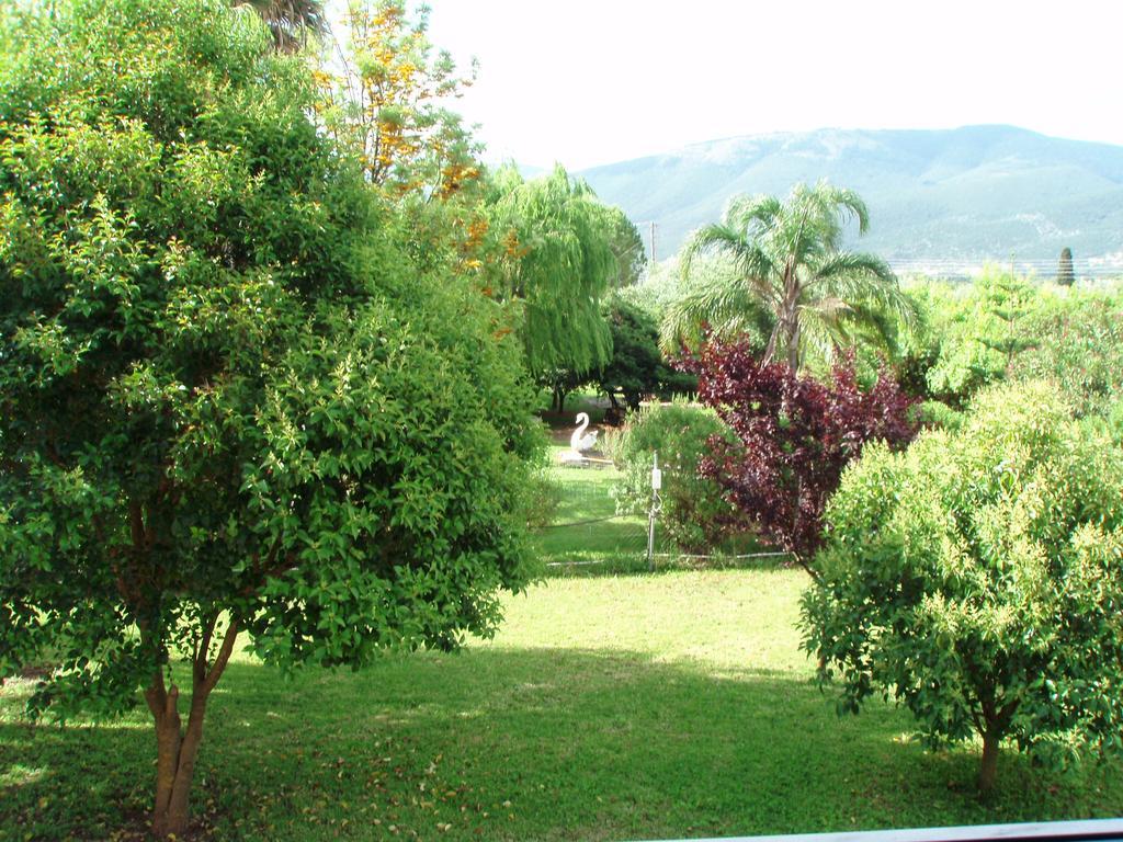 Finikes Studios Kefalonia Sami (Kefalonia) Exterior photo