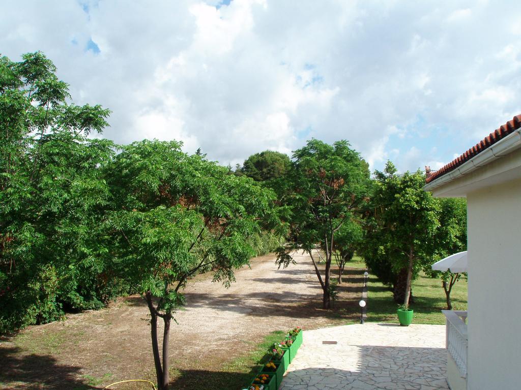 Finikes Studios Kefalonia Sami (Kefalonia) Exterior photo